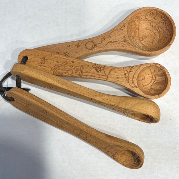 GANZ Wood Measuring Spoon Set - Picture 1 of 5